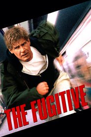 Poster for the movie "The Fugitive"