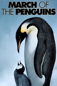 Poster for the movie "March of the Penguins"